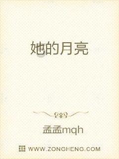 空中大战斗